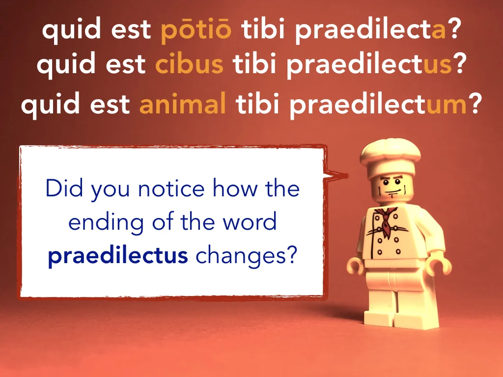 Disco Lesson 5 Remix.055.jpeg