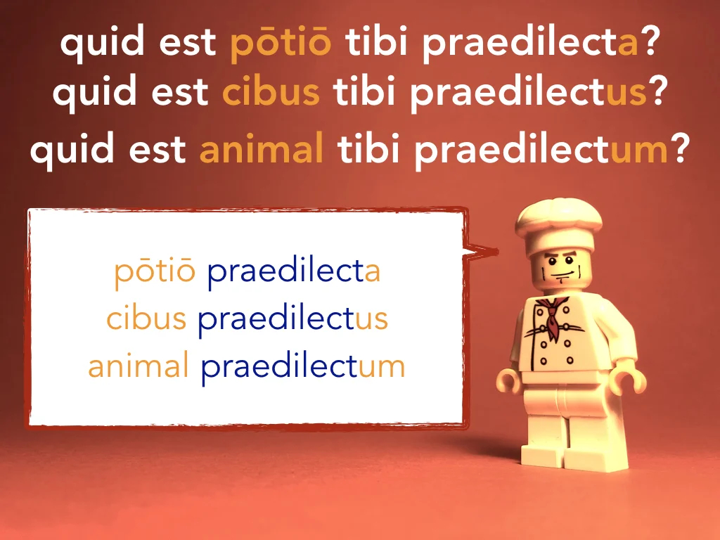 Disco Lesson 5 Remix.056.jpeg