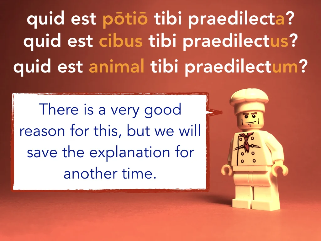 Disco Lesson 5 Remix.057.jpeg