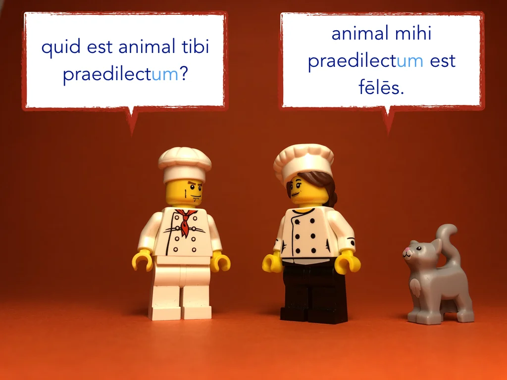 Disco Lesson 5 Remix.065.jpeg