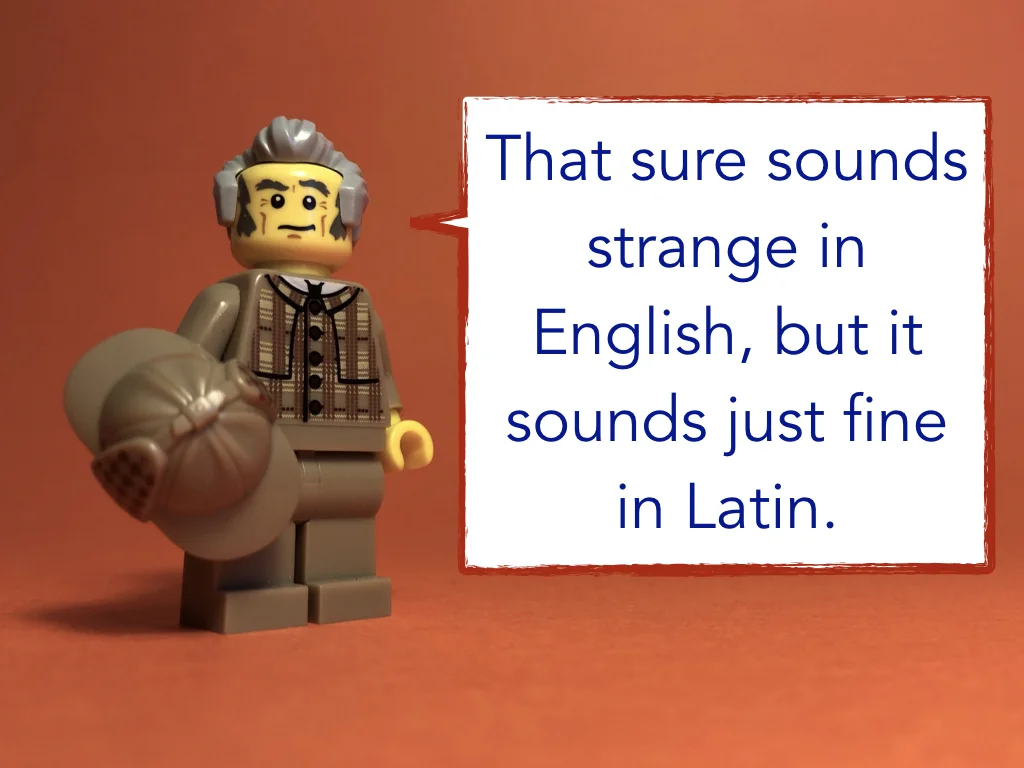 Disco Lesson 2 Remix.019.jpeg