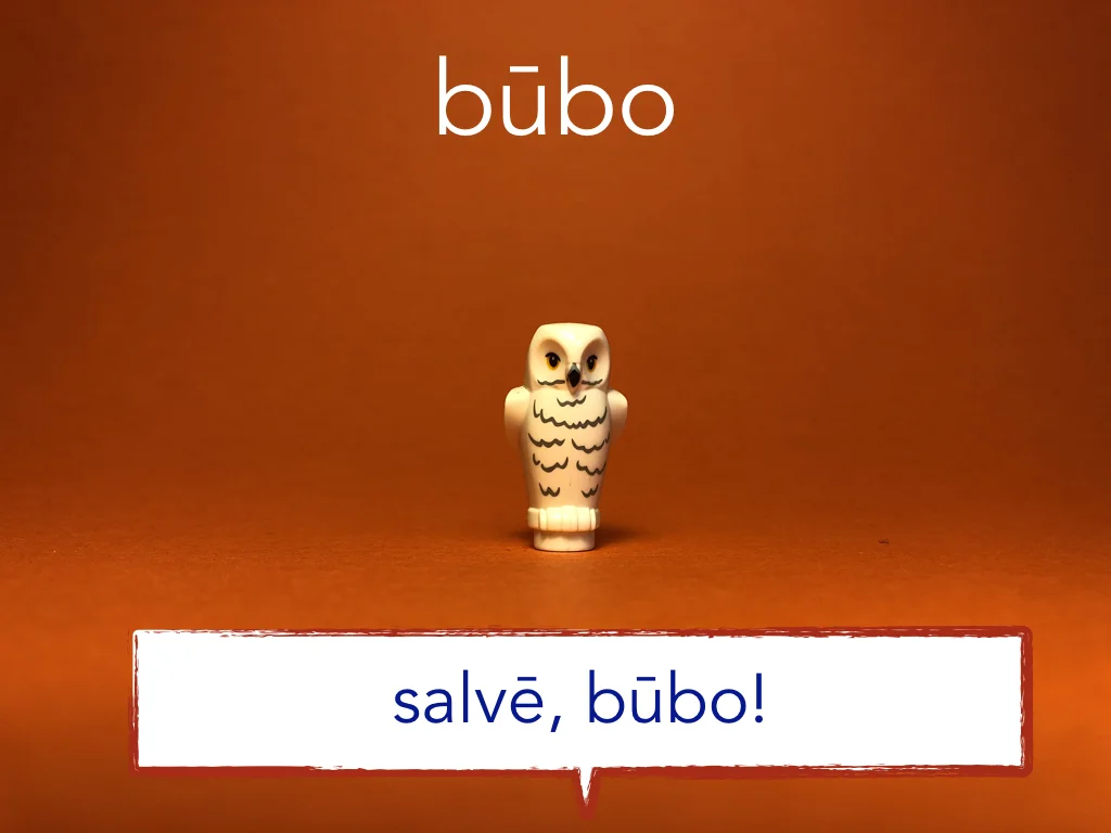 Disco Lesson 6 Remix.039.jpeg