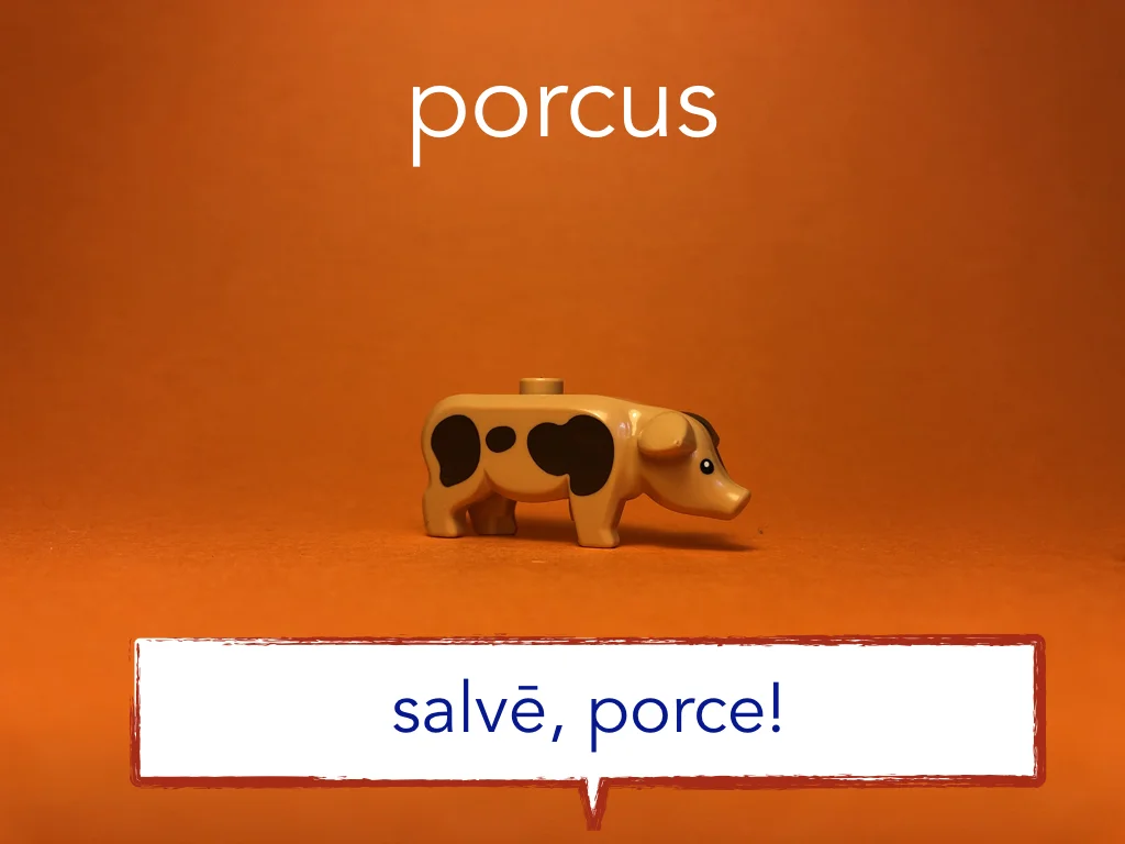 Disco Lesson 6 Remix.041.jpeg