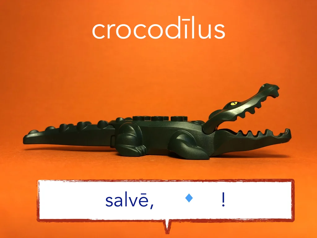 Disco Lesson 6 Remix.044.jpeg