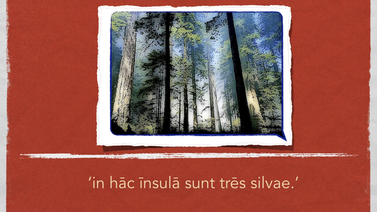 Antonius et Insula.019.jpeg