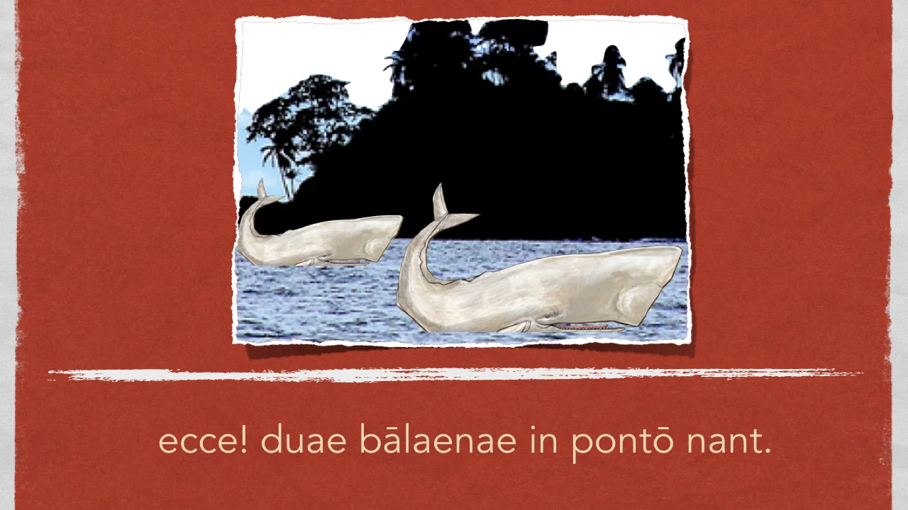 Antonius et Insula.030.jpeg