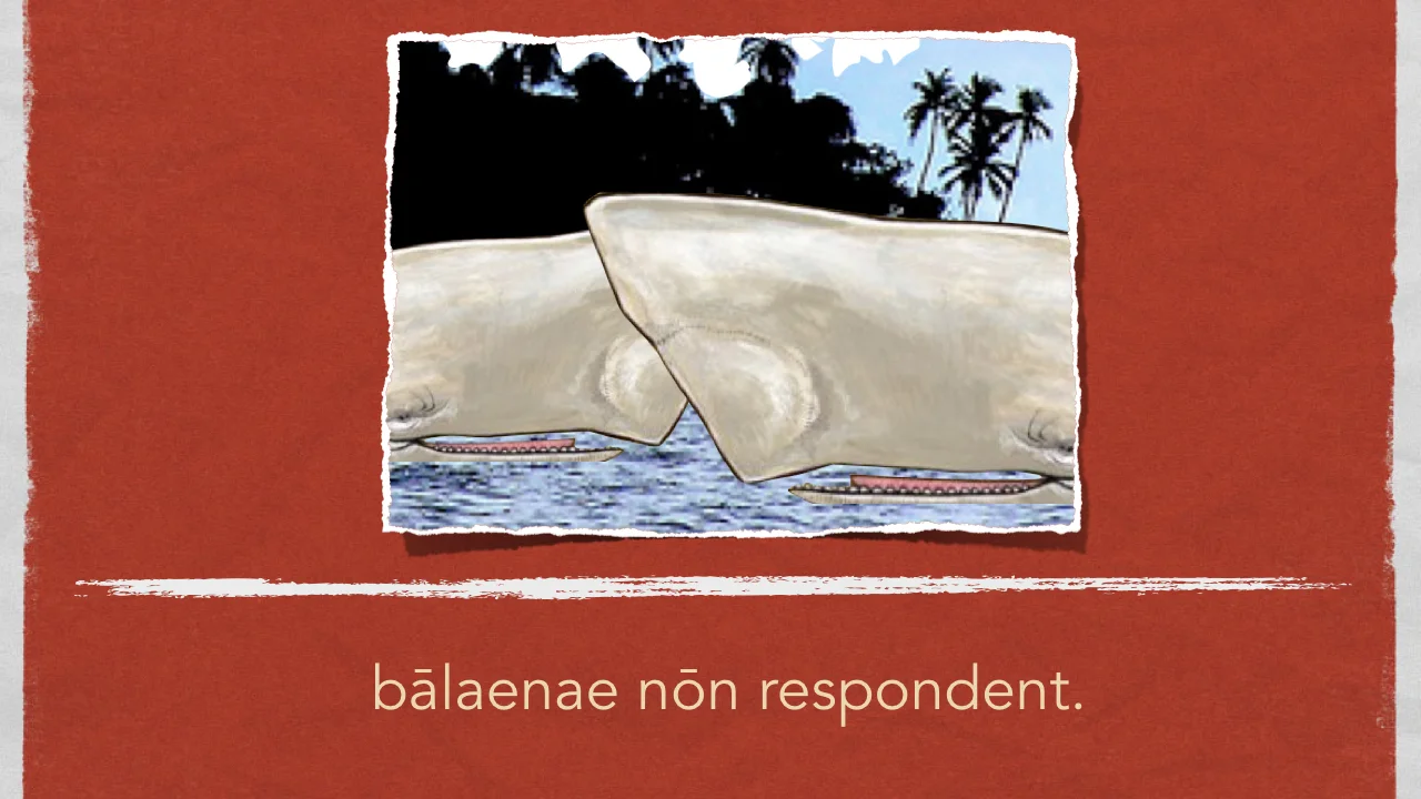 Antonius et Insula.035.jpeg