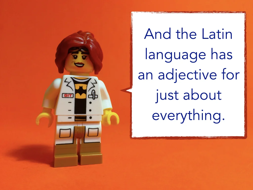 Disco Lesson 7 Remix.047.jpeg