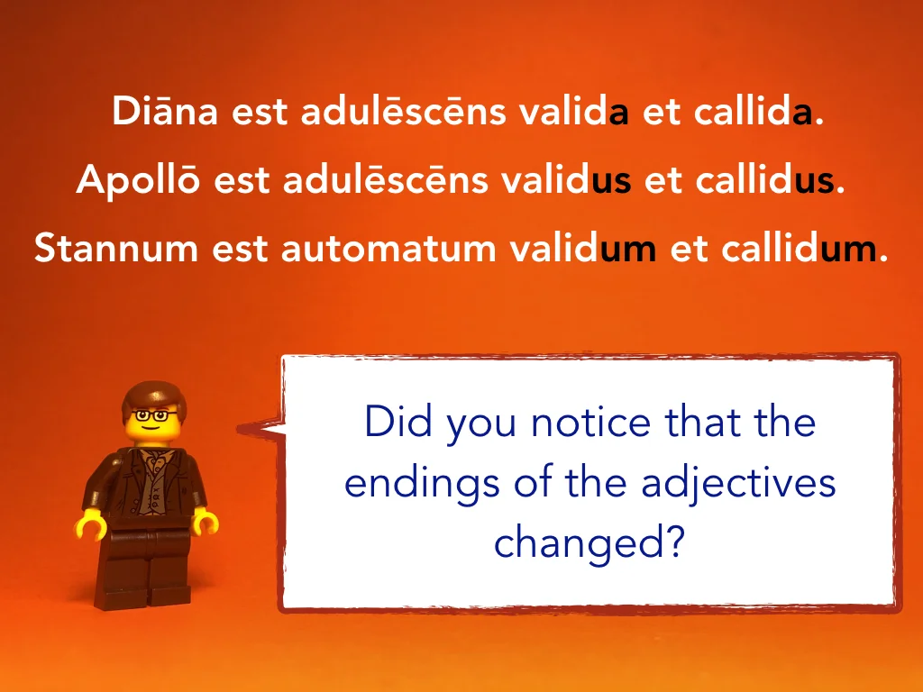 Disco Lesson 8 Remix.041.jpeg