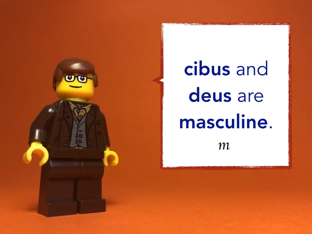 Disco Lesson 8 Remix.047.jpeg