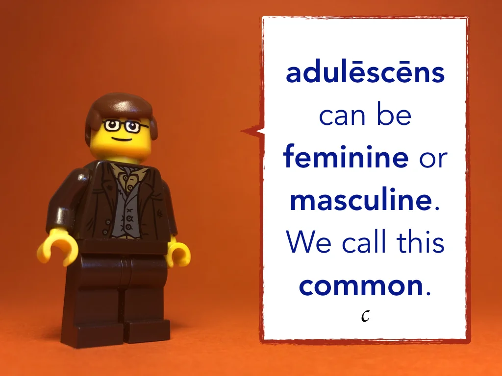 Disco Lesson 8 Remix.048.jpeg