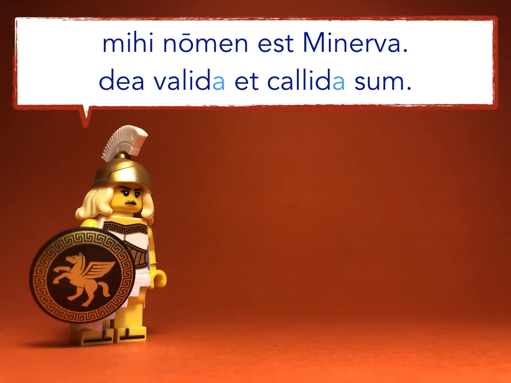 Disco Lesson 8 Remix.054.jpeg