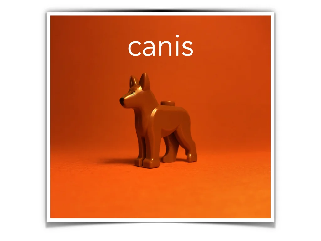 Disco Lesson 4 Remix.057.jpeg