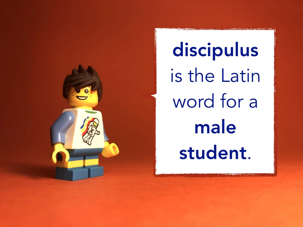 Disco Lesson 9 Remix.005.jpeg