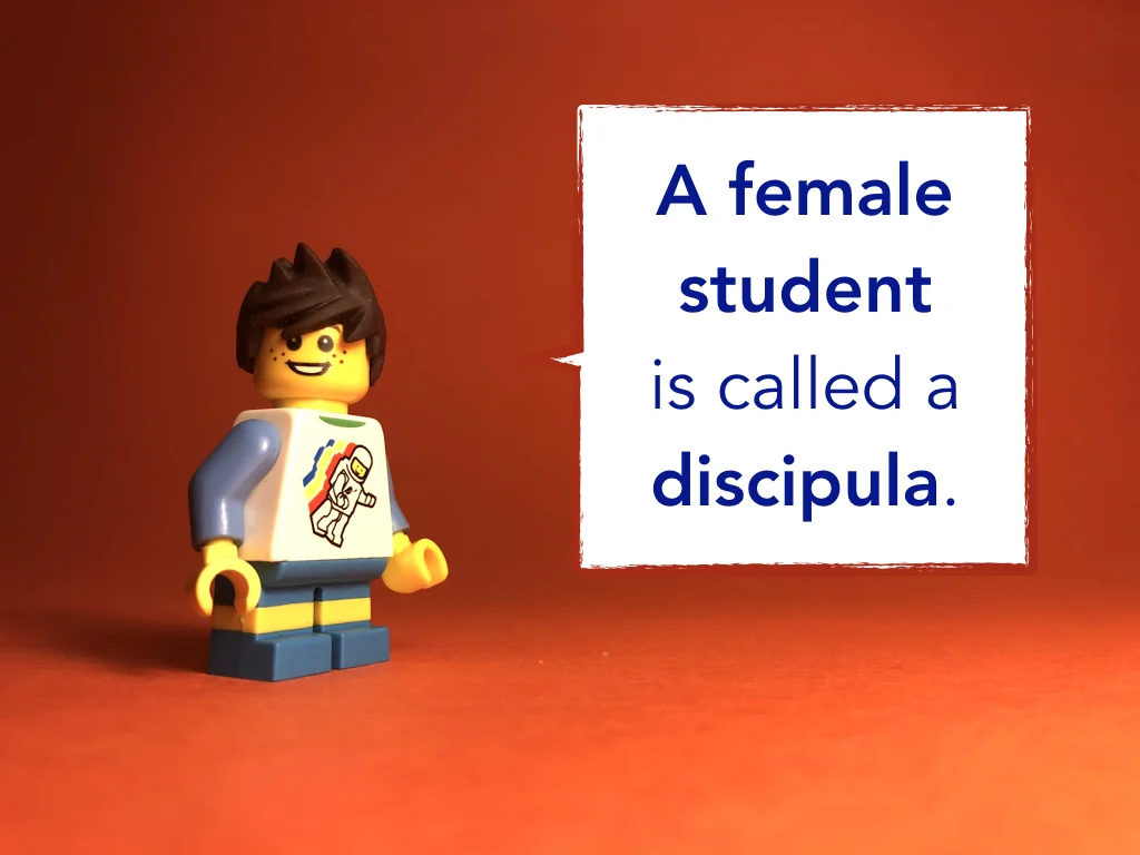 Disco Lesson 9 Remix.006.jpeg