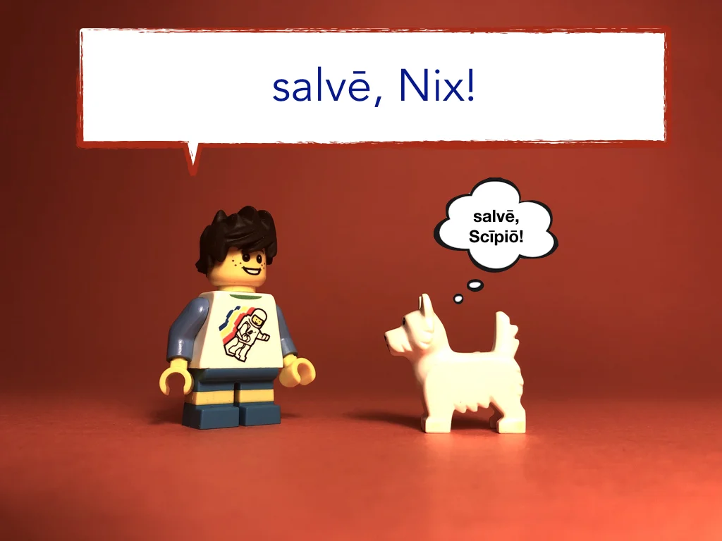 Disco Lesson 9 Remix.024.jpeg