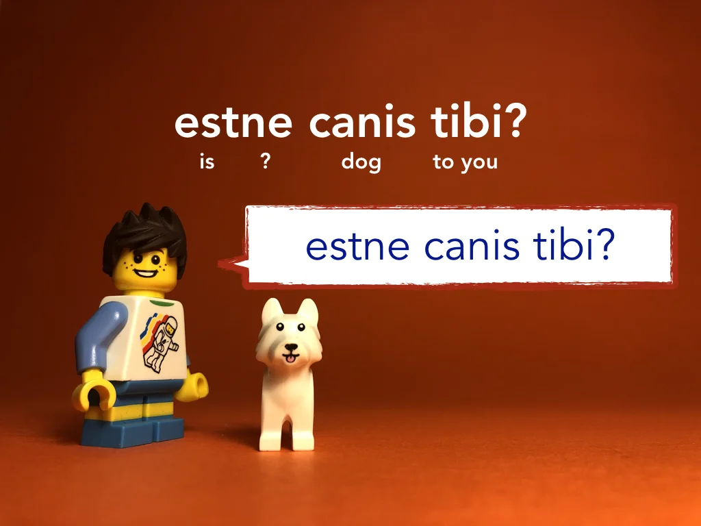 Disco Lesson 9 Remix.027.jpeg