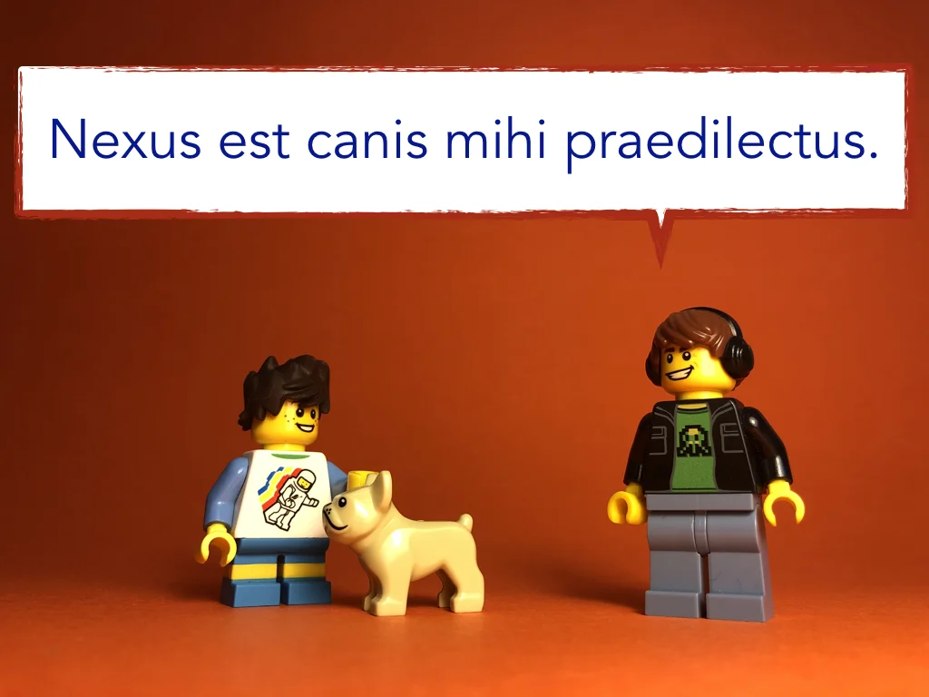 Disco Lesson 9 Remix.040.jpeg