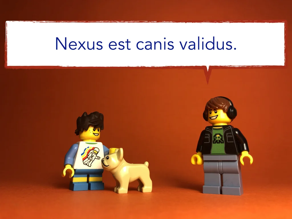 Disco Lesson 9 Remix.041.jpeg