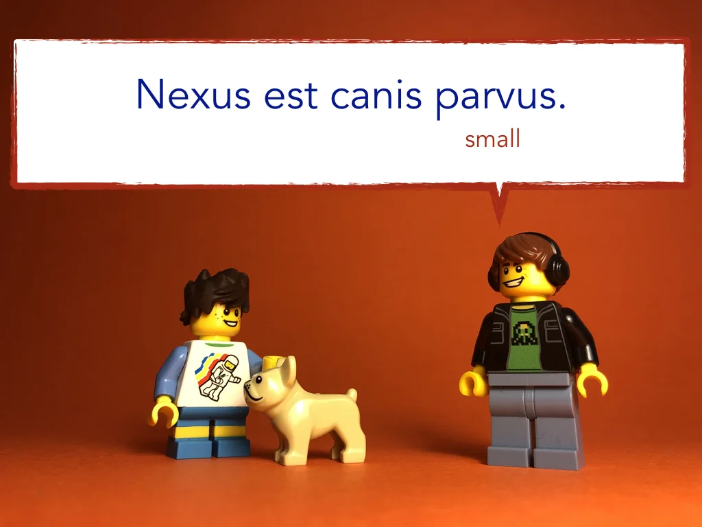 Disco Lesson 9 Remix.042.jpeg