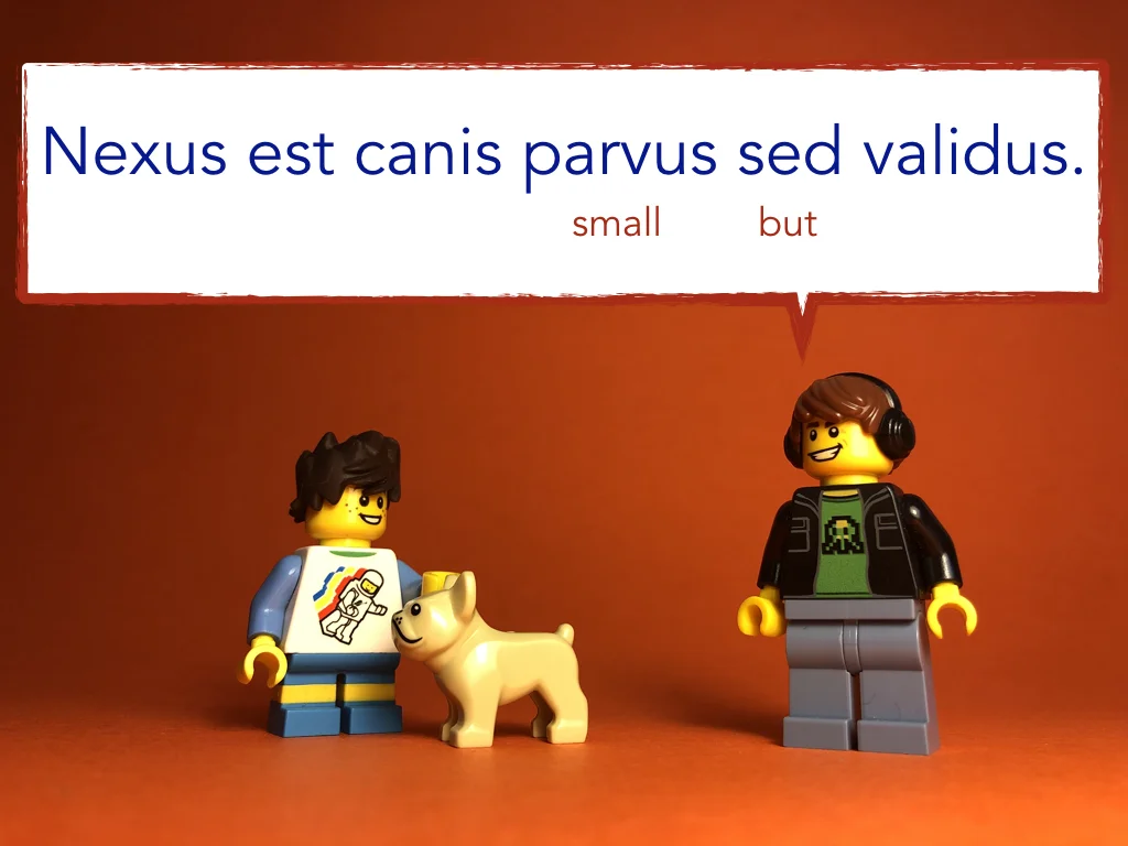 Disco Lesson 9 Remix.043.jpeg