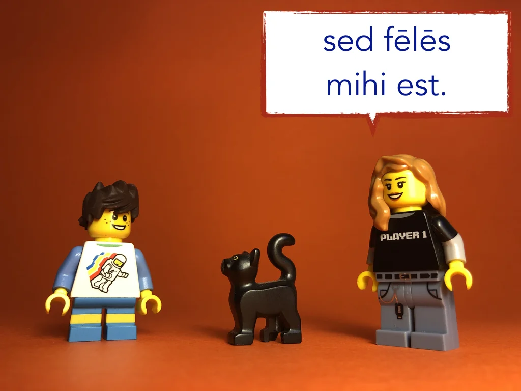 Disco Lesson 9 Remix.049.jpeg