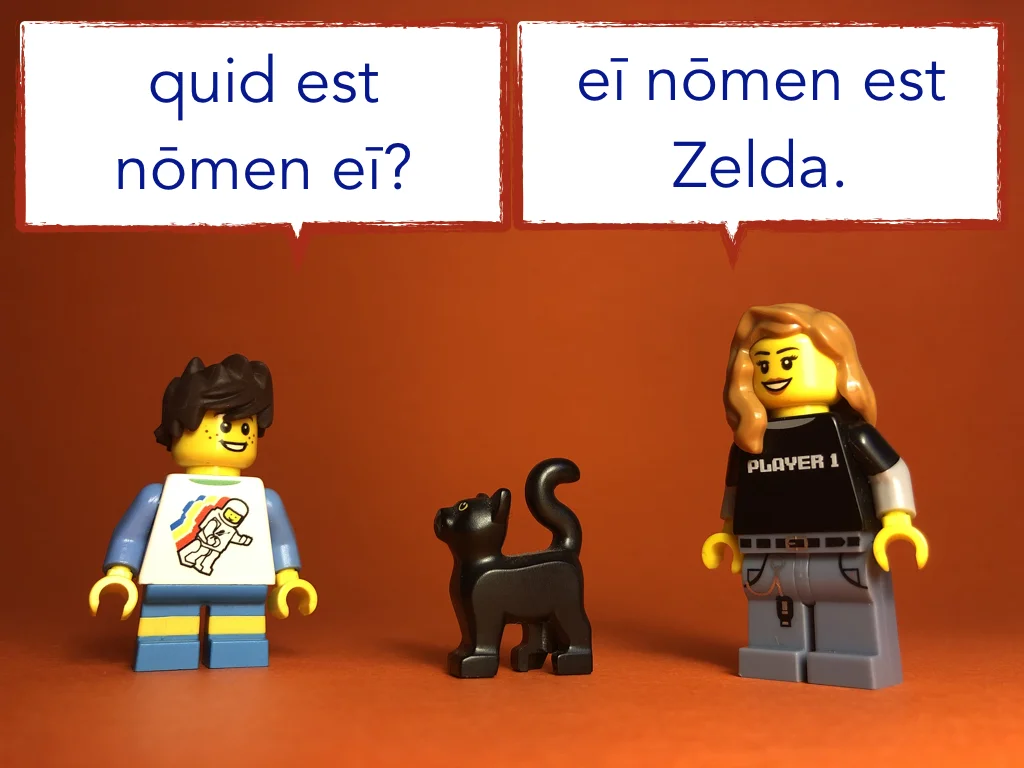 Disco Lesson 9 Remix.050.jpeg