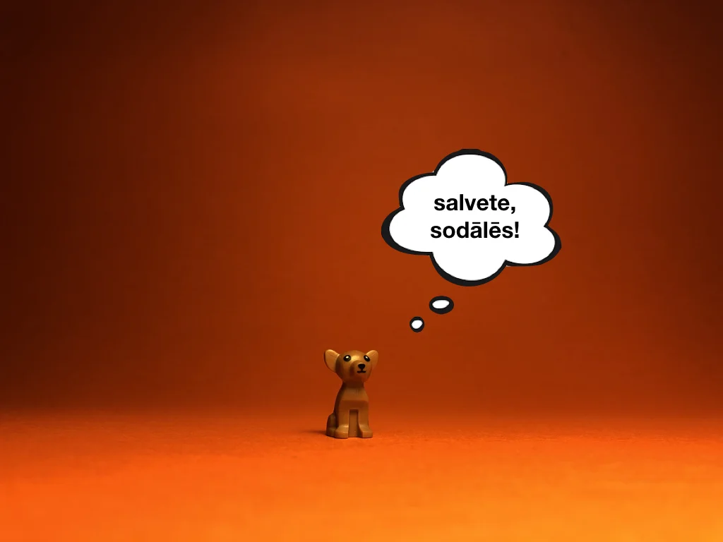 Disco Lesson 9 Remix.054.jpeg