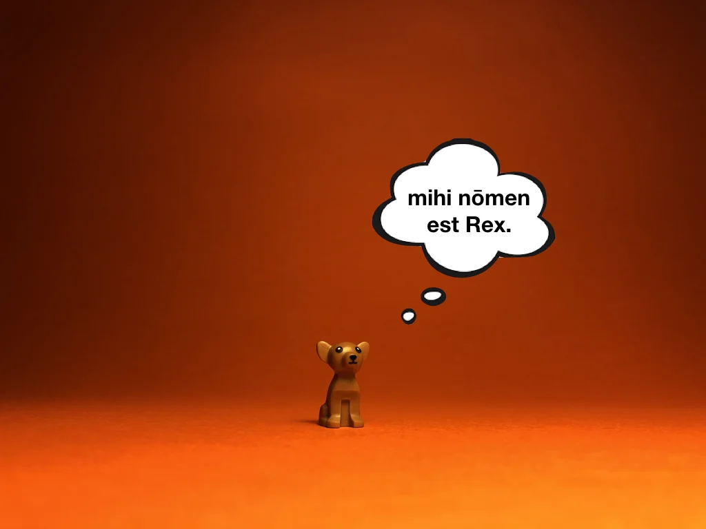 Disco Lesson 9 Remix.055.jpeg