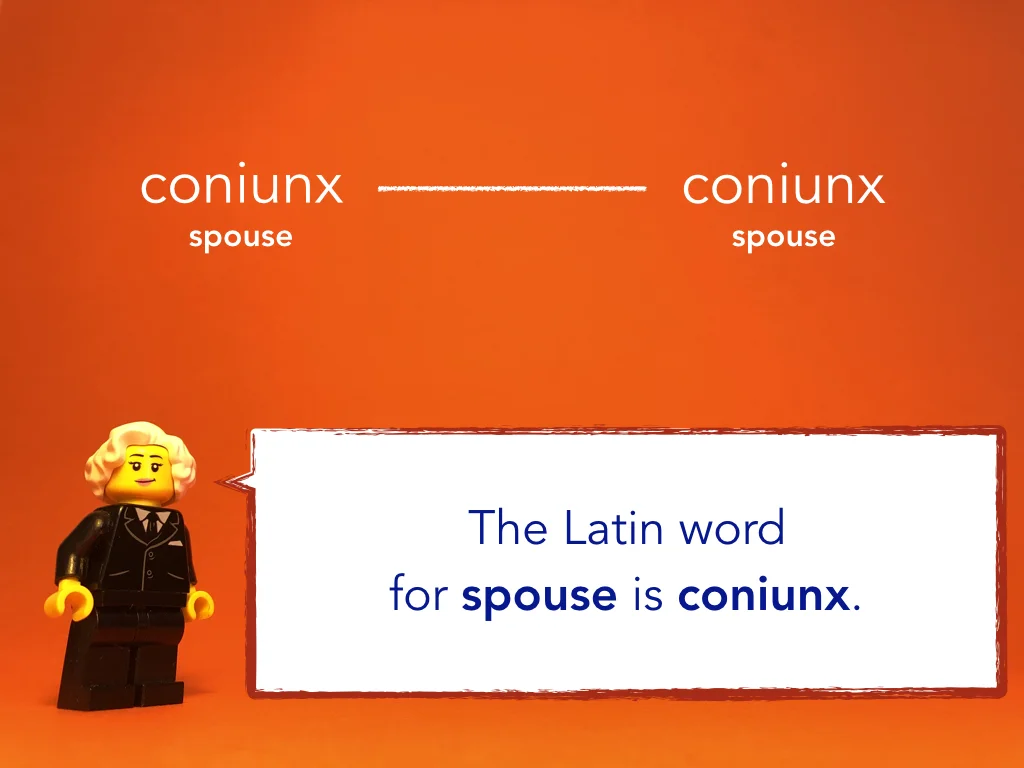 Disco Lesson 10 Remix.014.jpeg