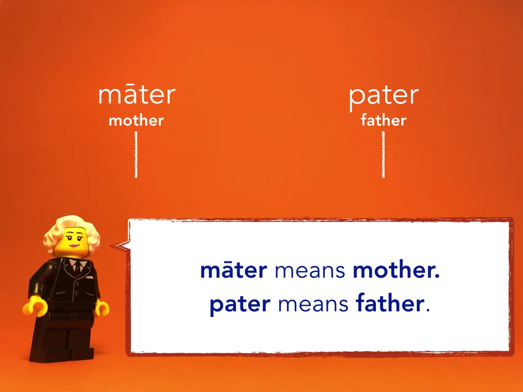 Disco Lesson 10 Remix.018.jpeg