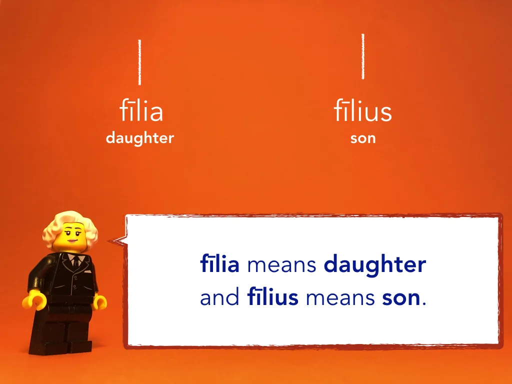 Disco Lesson 10 Remix.020.jpeg