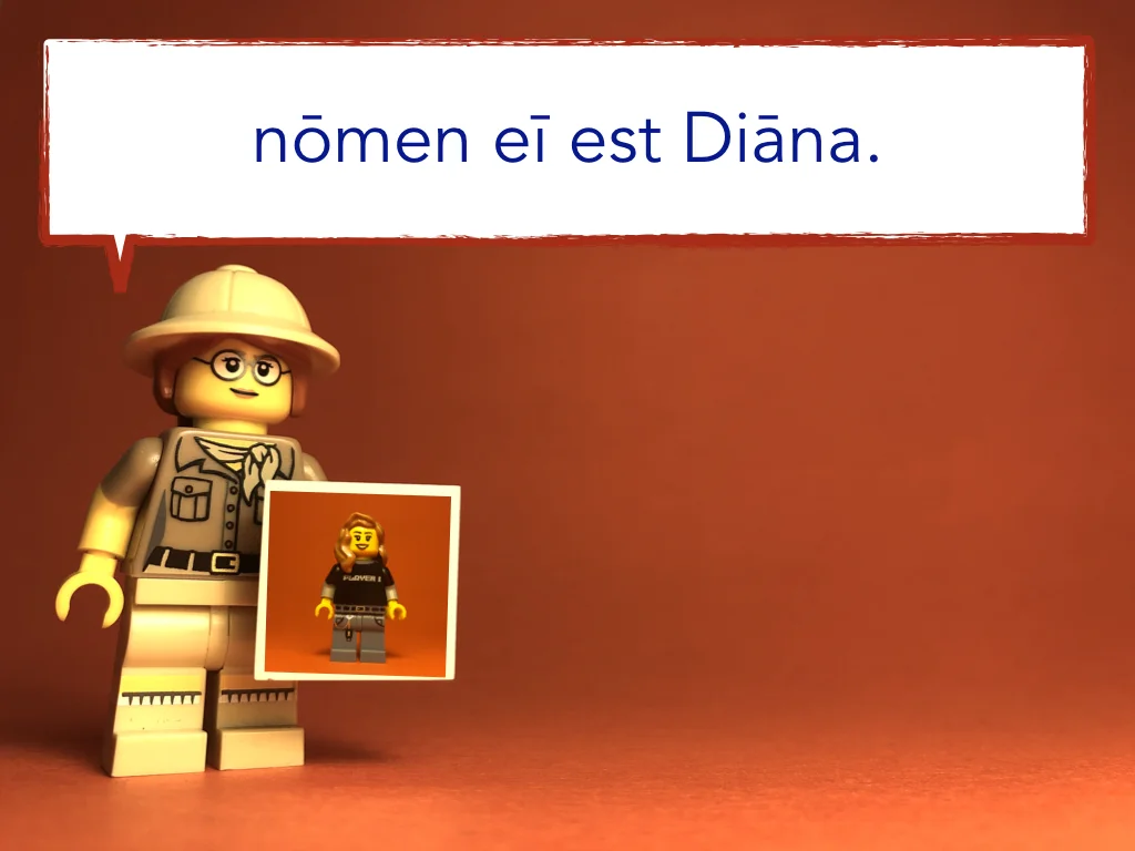 Disco Lesson 10 Remix.027.jpeg