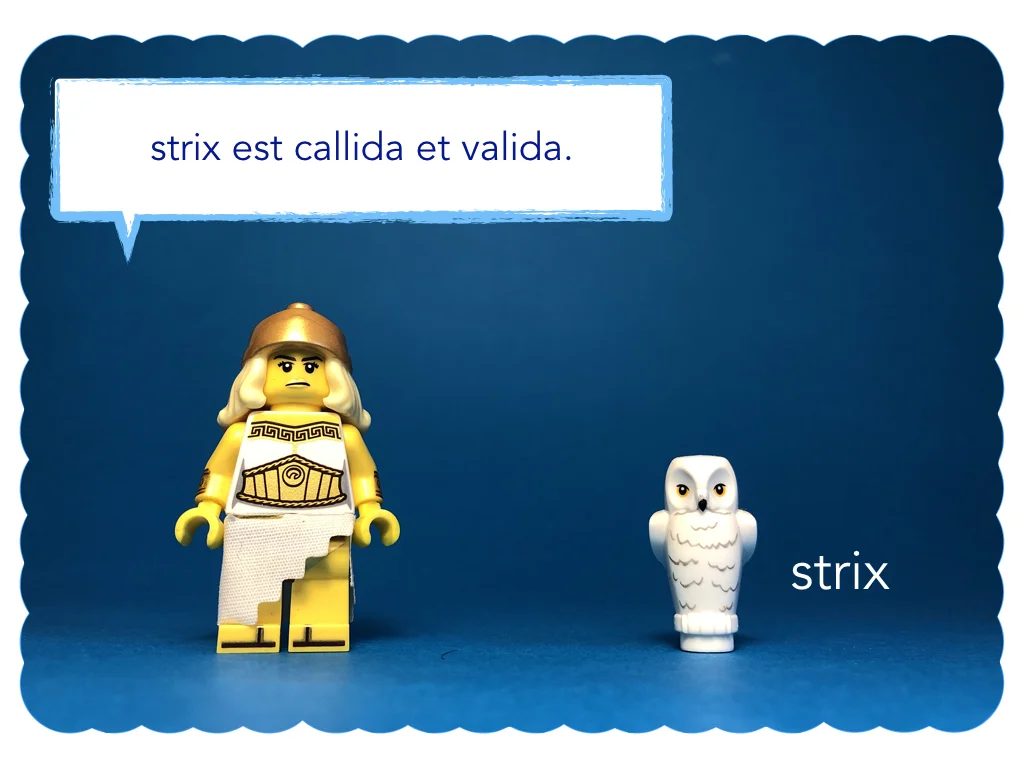 Disco Lesson 11 Remix.010.jpeg