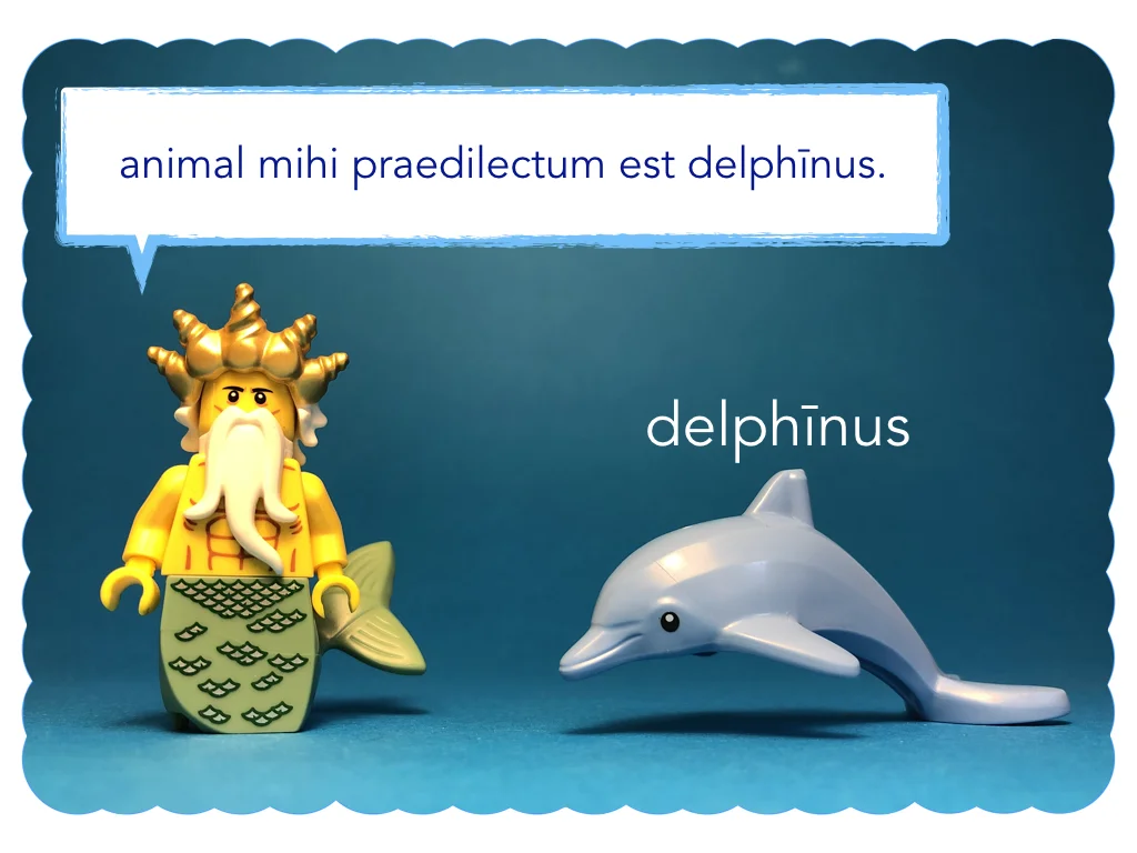 Disco Lesson 11 Remix.017.jpeg