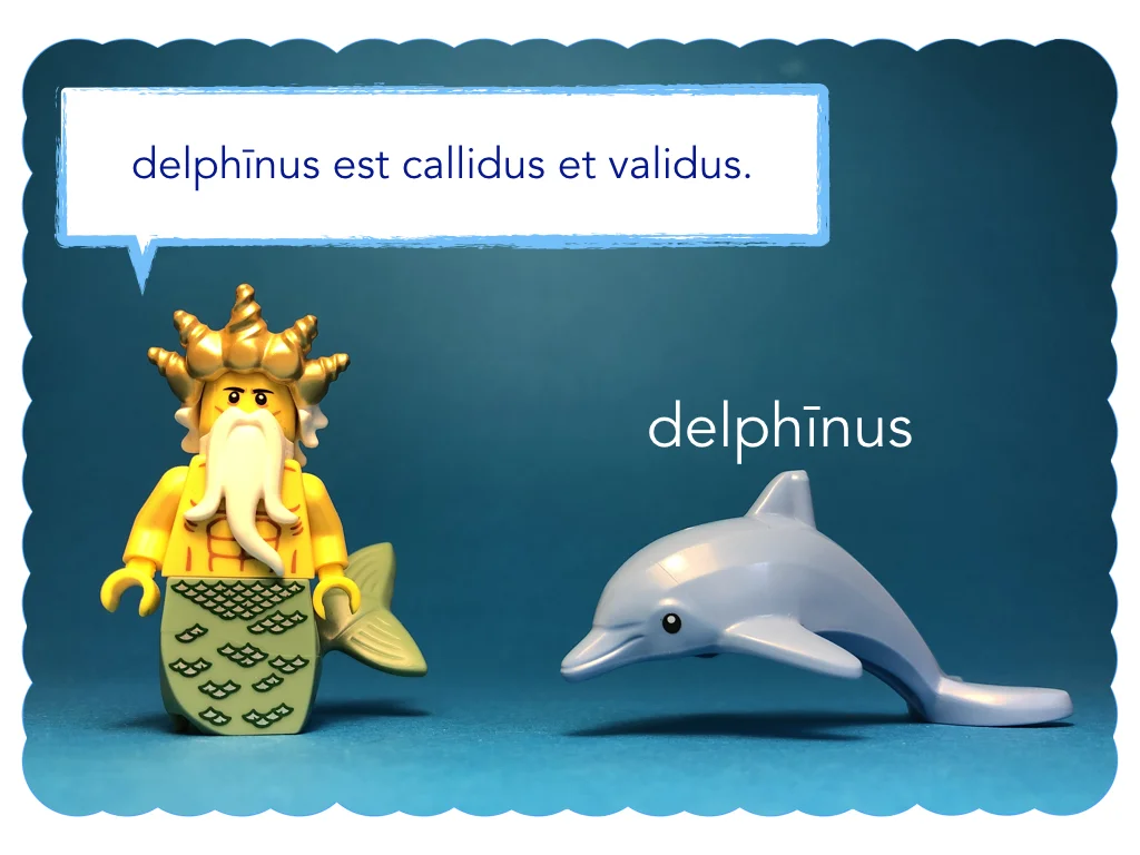 Disco Lesson 11 Remix.018.jpeg