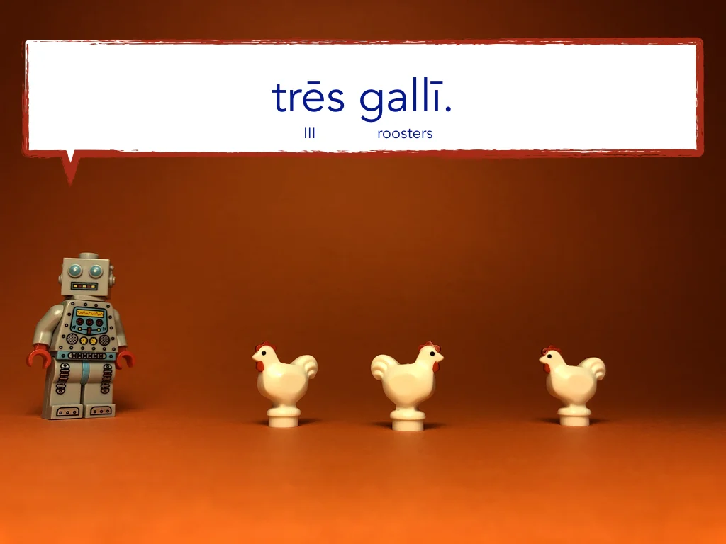 Disco Lesson 11 Remix.051.jpeg