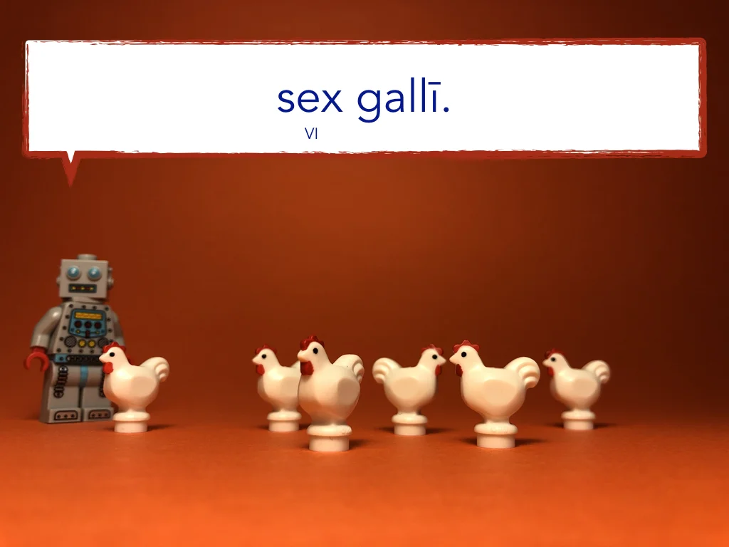 Disco Lesson 11 Remix.054.jpeg