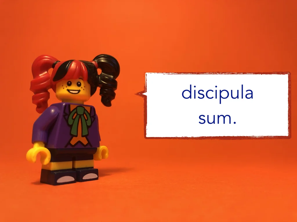 Disco Lesson 12 Remix.004.jpeg