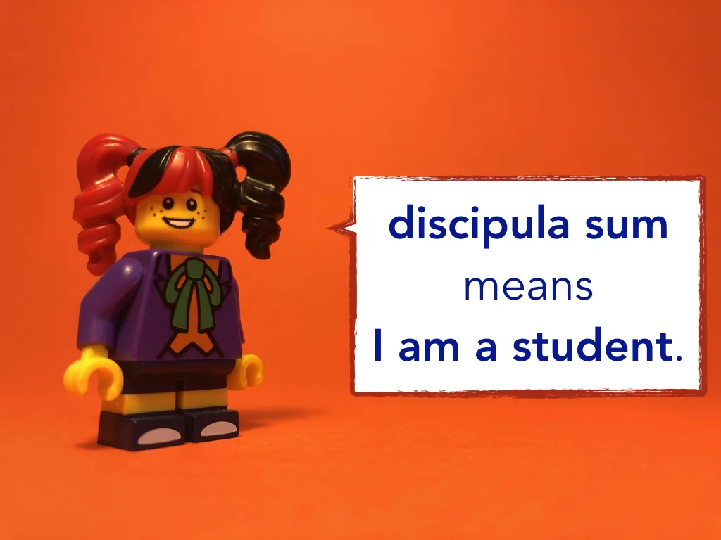 Disco Lesson 12 Remix.005.jpeg