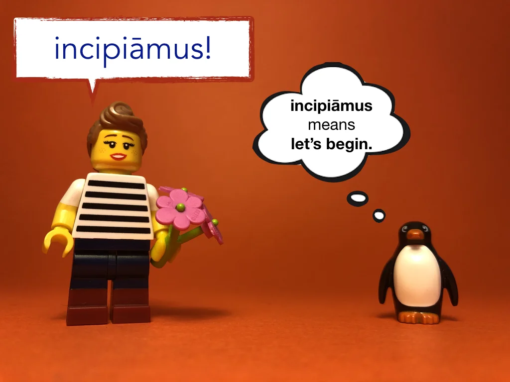 Disco Lesson 12 Remix.030.jpeg