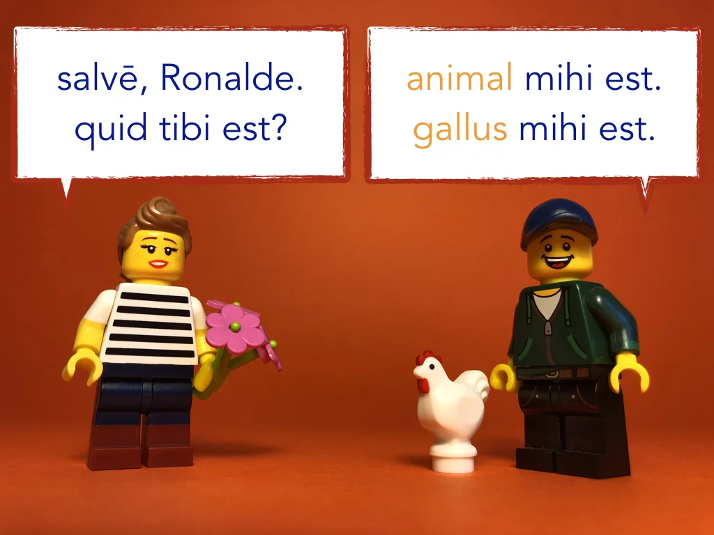 Disco Lesson 12 Remix.036.jpeg