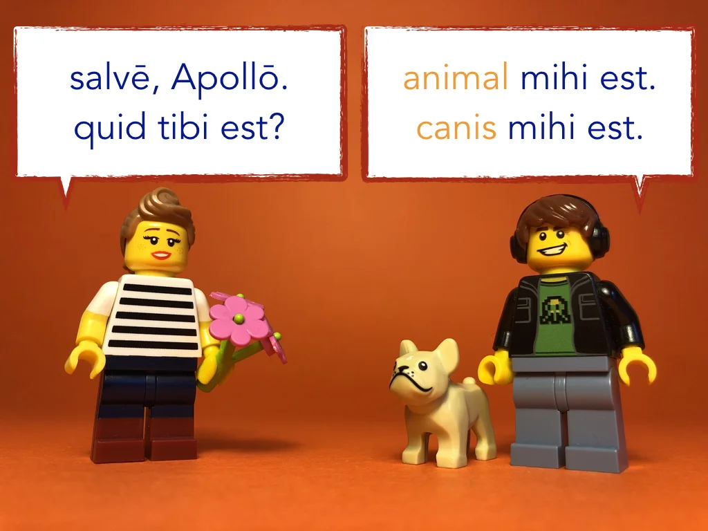 Disco Lesson 12 Remix.040.jpeg