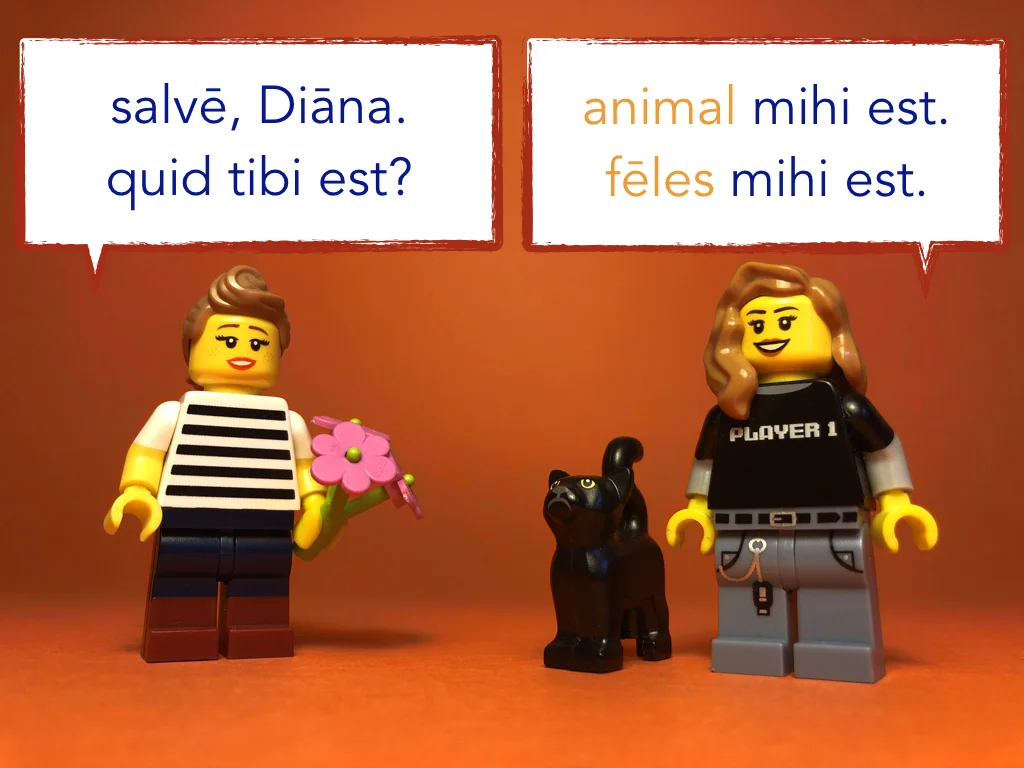 Disco Lesson 12 Remix.044.jpeg