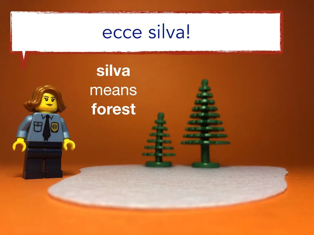 Disco Lesson 15 Remix.028.jpeg