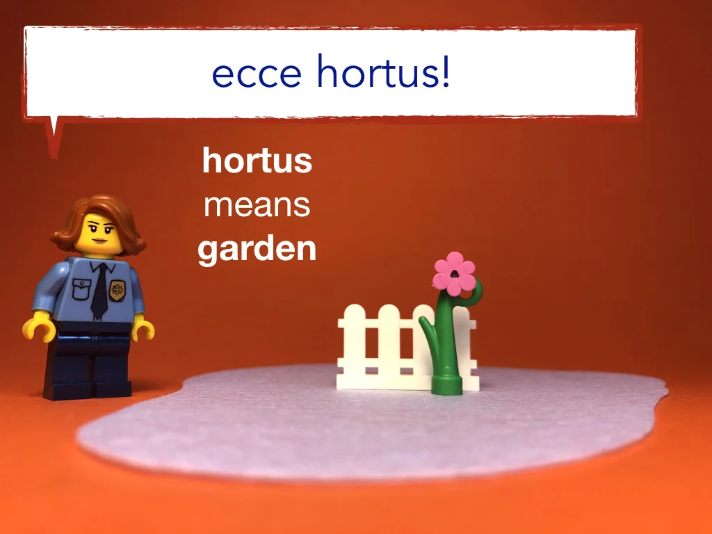 Disco Lesson 15 Remix.031.jpeg