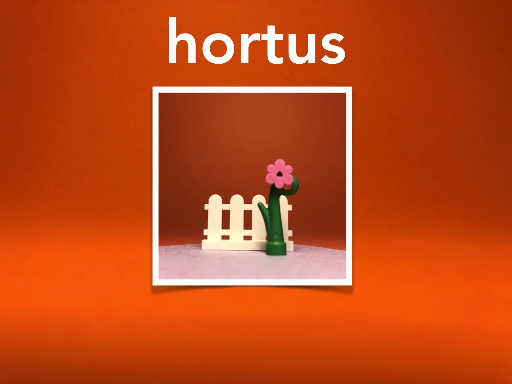 Disco Lesson 15 Remix.069.jpeg