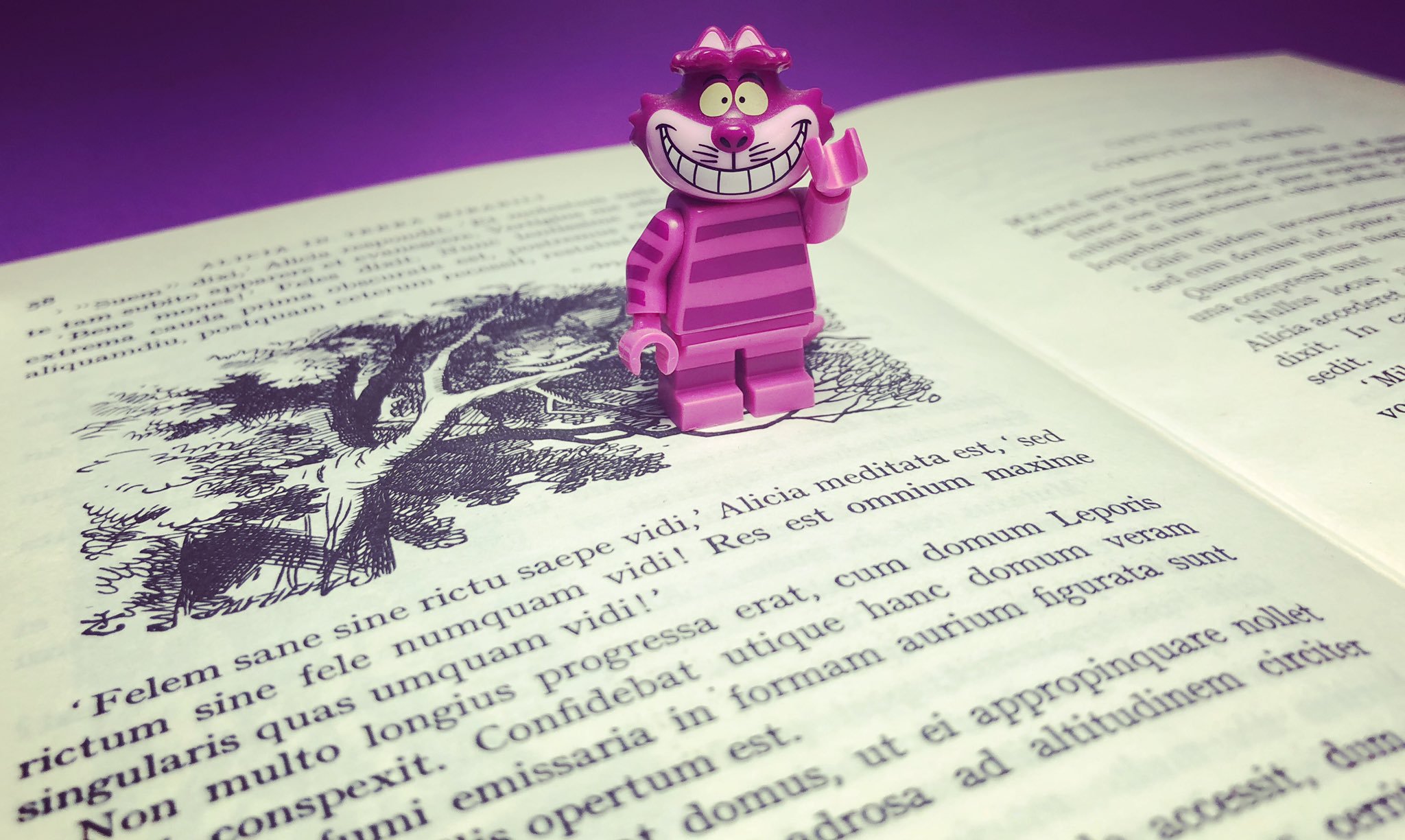 felem sane sine rictu saepe vidi, Alicia meditata est, sed rictum sine fele numquam vidi! res est omnium maxime singularis quas umquam vidi! Well! I've often seen a cat without a grin, thought Alice, but a grin without a cat! It's the most curious thing I ever saw in my life!