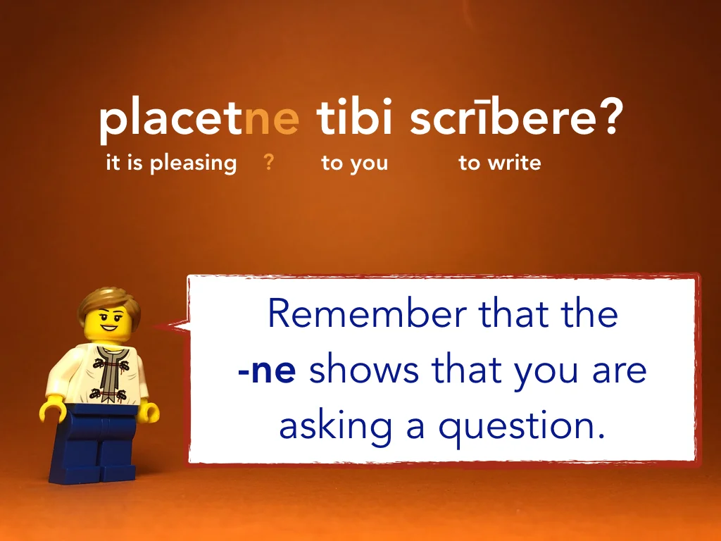 Disco Lesson 17 Remix.015.jpeg