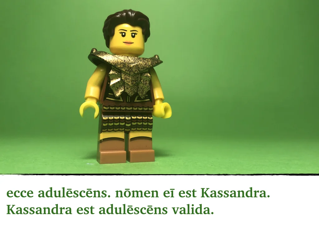 Disco Lesson 18 Remix.002.jpeg